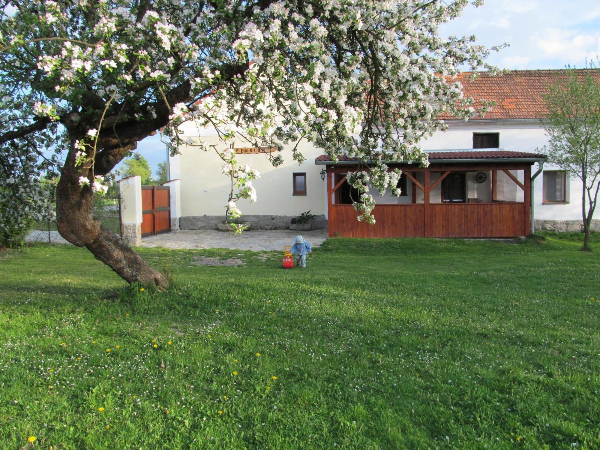 Pension Otěvěk Trhové Sviny Exteriér fotografie