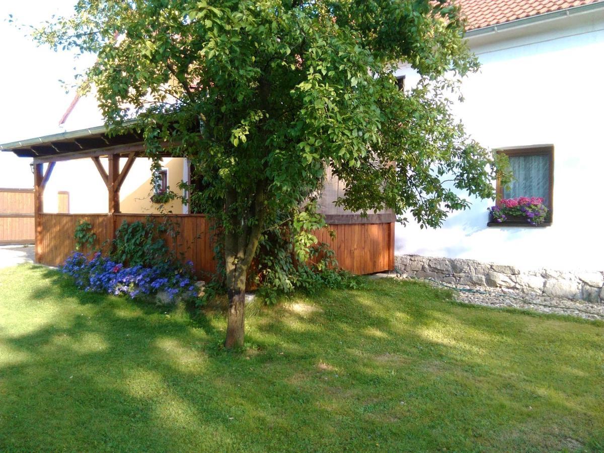 Pension Otěvěk Trhové Sviny Exteriér fotografie